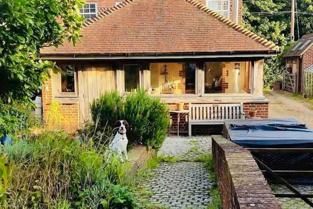 Nature Charm & Fruit Delights, Multi-Generation Celebratory Home -Try, Relax, Repeat - Sellindge Ashford  Buitenkant foto