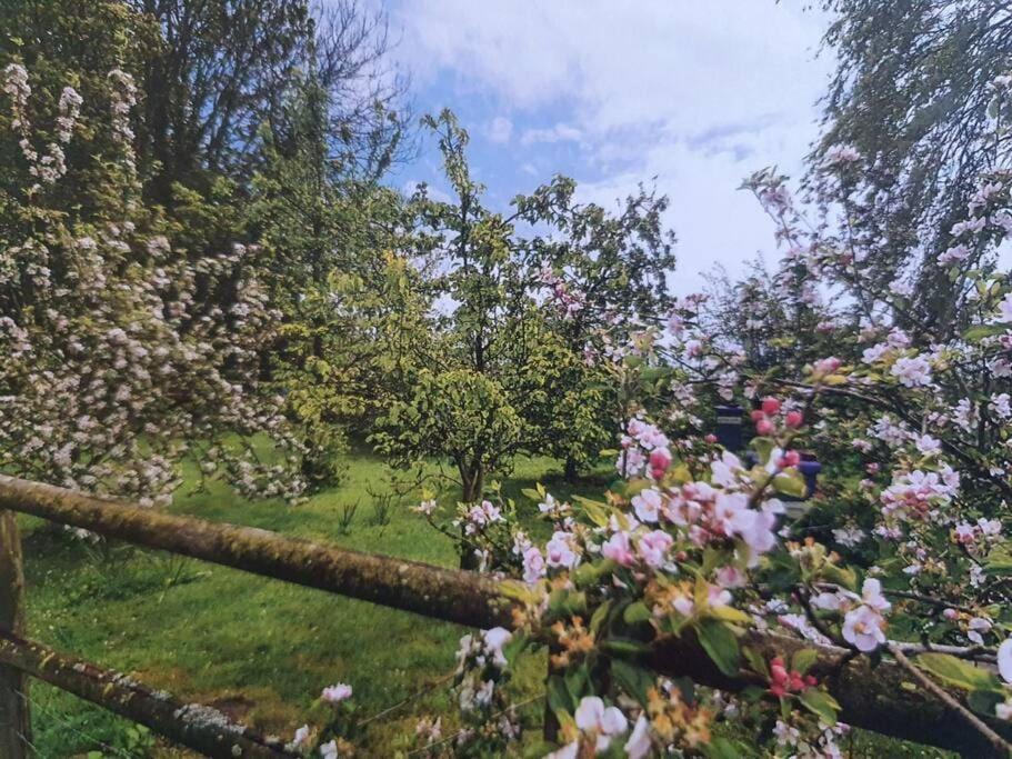 Nature Charm & Fruit Delights, Multi-Generation Celebratory Home -Try, Relax, Repeat - Sellindge Ashford  Buitenkant foto