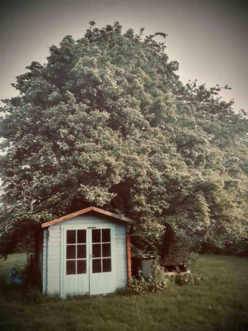 Nature Charm & Fruit Delights, Multi-Generation Celebratory Home -Try, Relax, Repeat - Sellindge Ashford  Buitenkant foto