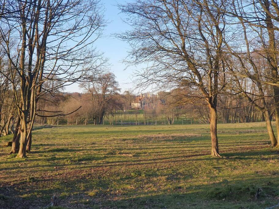 Nature Charm & Fruit Delights, Multi-Generation Celebratory Home -Try, Relax, Repeat - Sellindge Ashford  Buitenkant foto