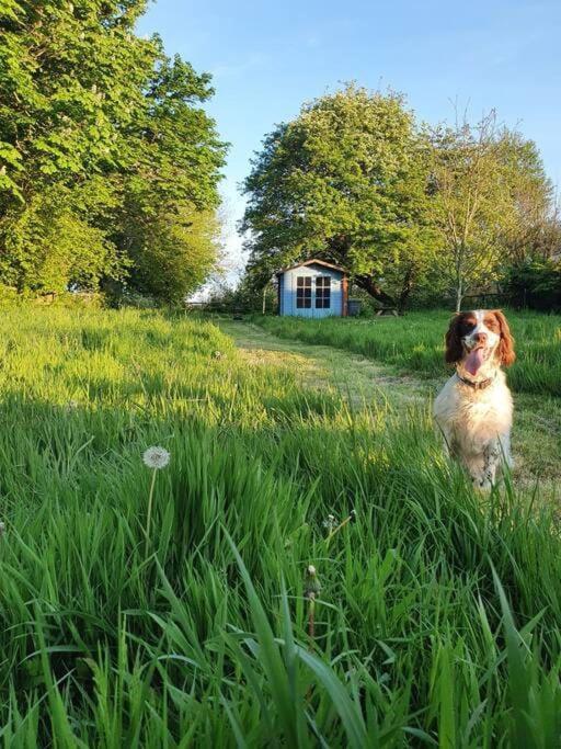 Nature Charm & Fruit Delights, Multi-Generation Celebratory Home -Try, Relax, Repeat - Sellindge Ashford  Buitenkant foto