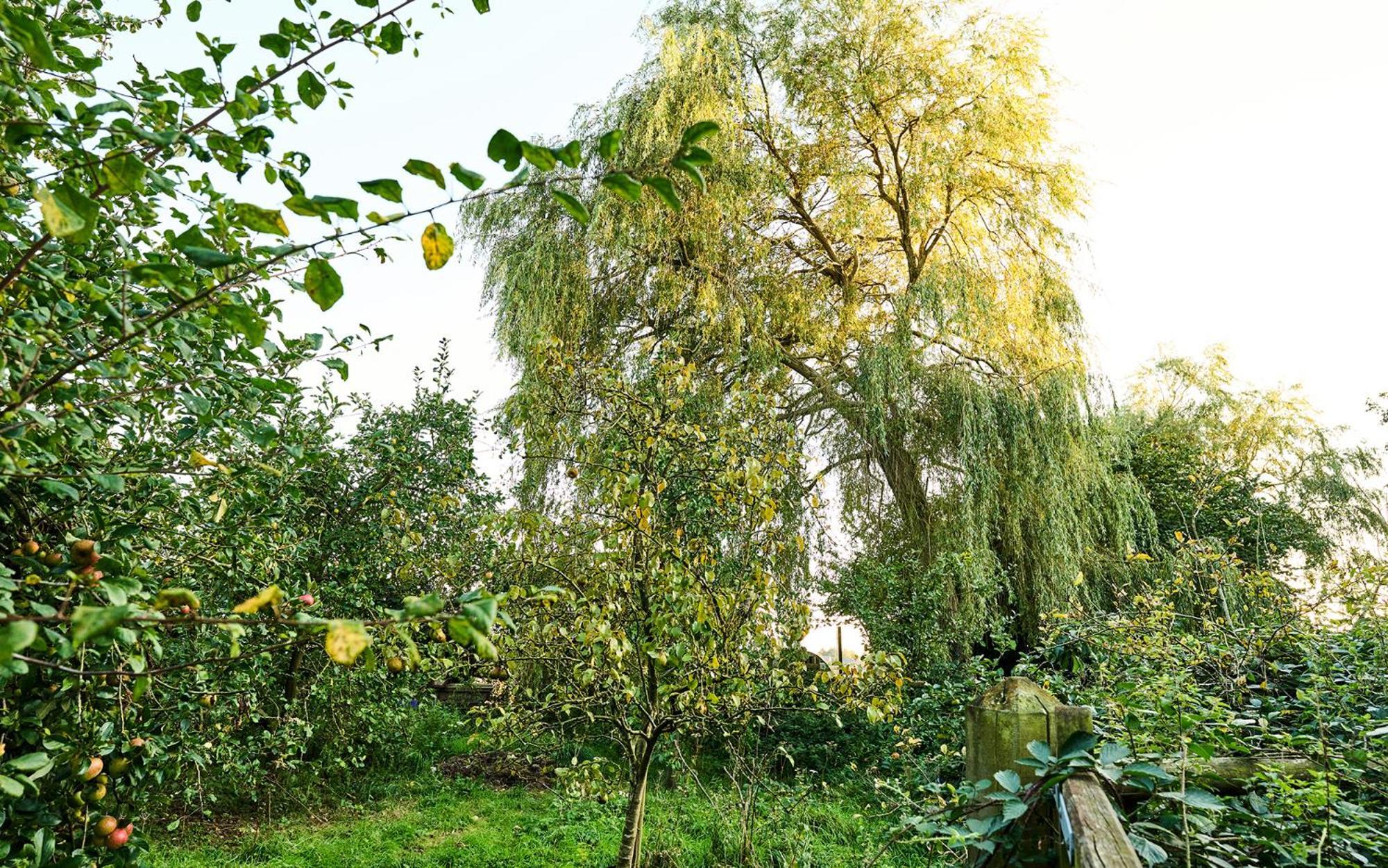 Nature Charm & Fruit Delights, Multi-Generation Celebratory Home -Try, Relax, Repeat - Sellindge Ashford  Buitenkant foto