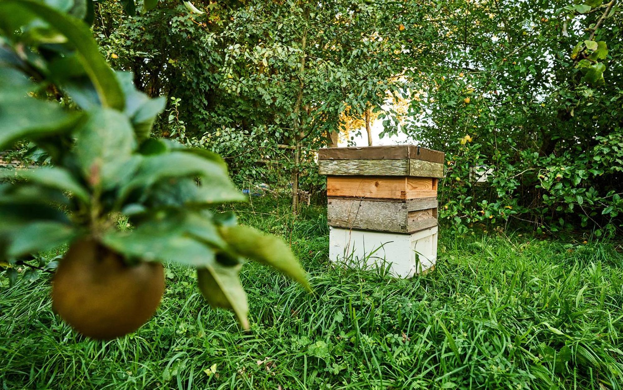 Nature Charm & Fruit Delights, Multi-Generation Celebratory Home -Try, Relax, Repeat - Sellindge Ashford  Buitenkant foto